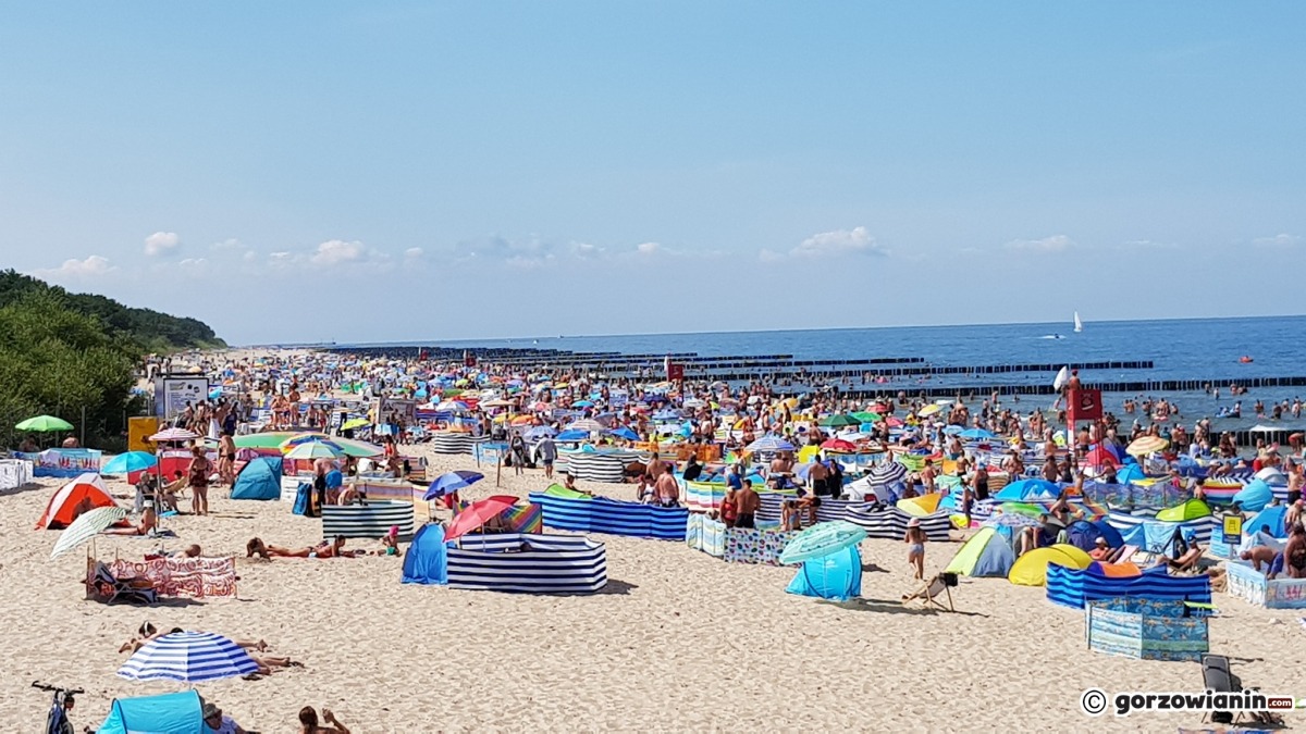 Wakacje nad Bałtykiem. Podpowiadamy, jak dojechać z Gorzowa nad morze bez samochodu