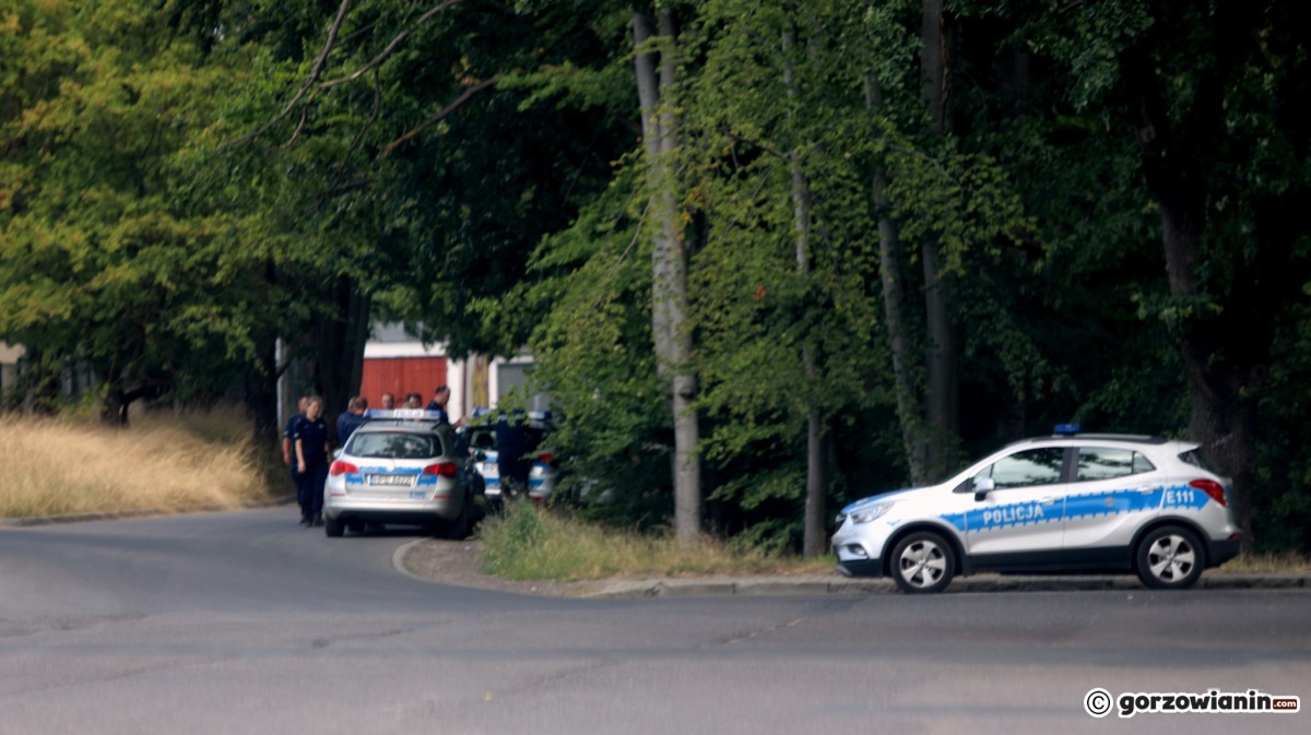 Zabił seniorkę dla pieniędzy. Zakrojone na szeroką skalę poszukiwania w Gorzowie