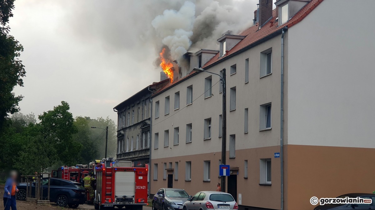 Pali się poddasze kamienicy. W akcji 15 zastępów straży pożarnej