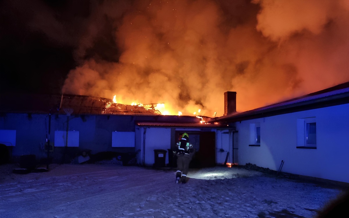 Tragiczny pożar koło Gorzowa. Indyki spłonęły żywcem