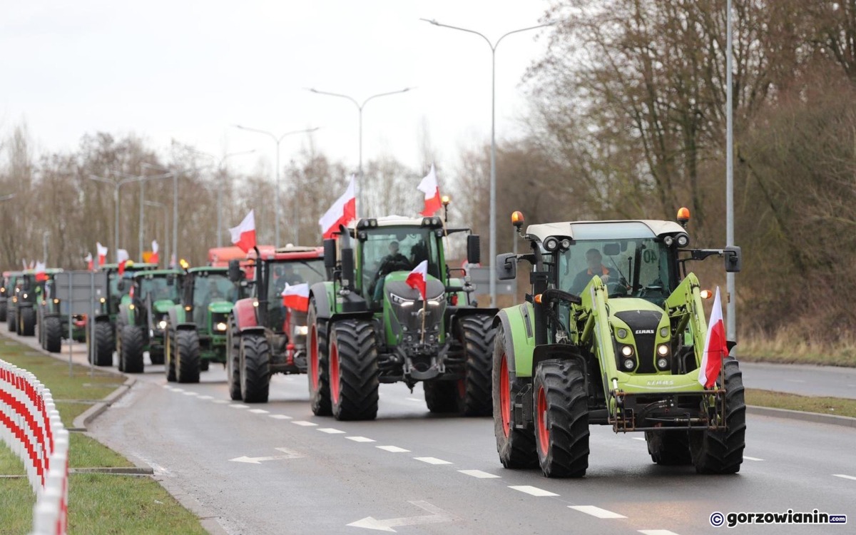 100 traktorów przejechało przez Gorzów. Rolnicy mówią, że import zboża z Ukrainy ich dobija