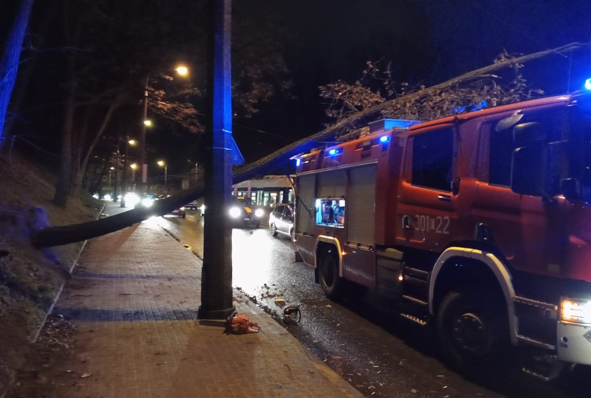 Drzewo spadło na wóz strażacki i sieć trakcyjną. Ruch tramwajów wstrzymany