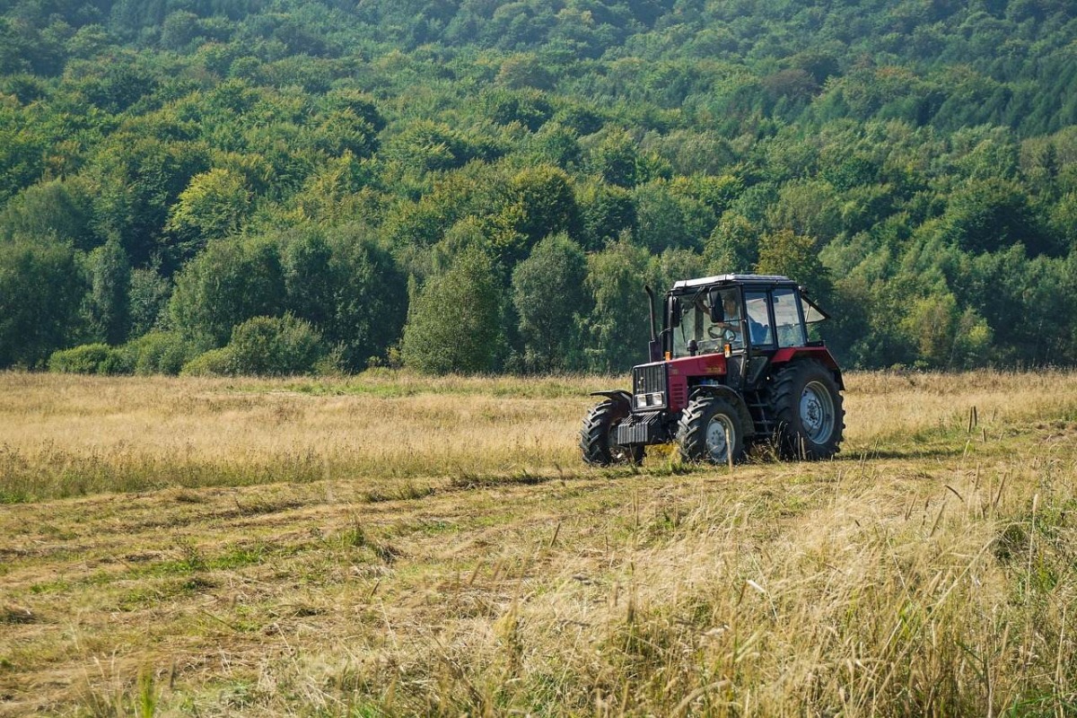 Łyżko krokodyle – co to za osprzęty? Kiedy się przydają?