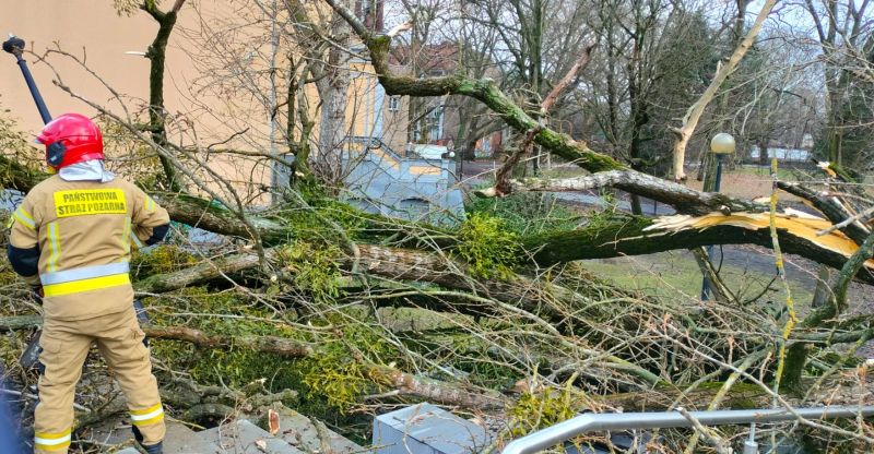 Uwaga na silny wiatr. Jest ostrzeżenie IMGW