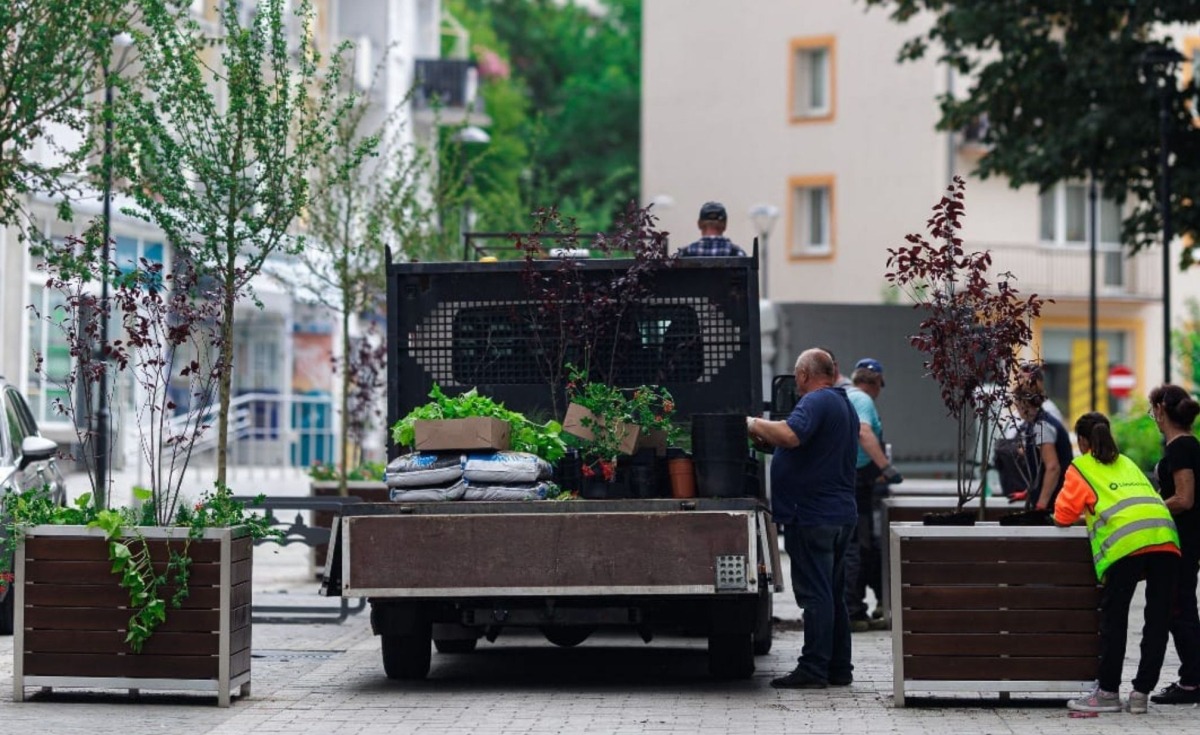 Trwa sadzenie zieleni na wyremontowanym deptaku w centrum Gorzowa