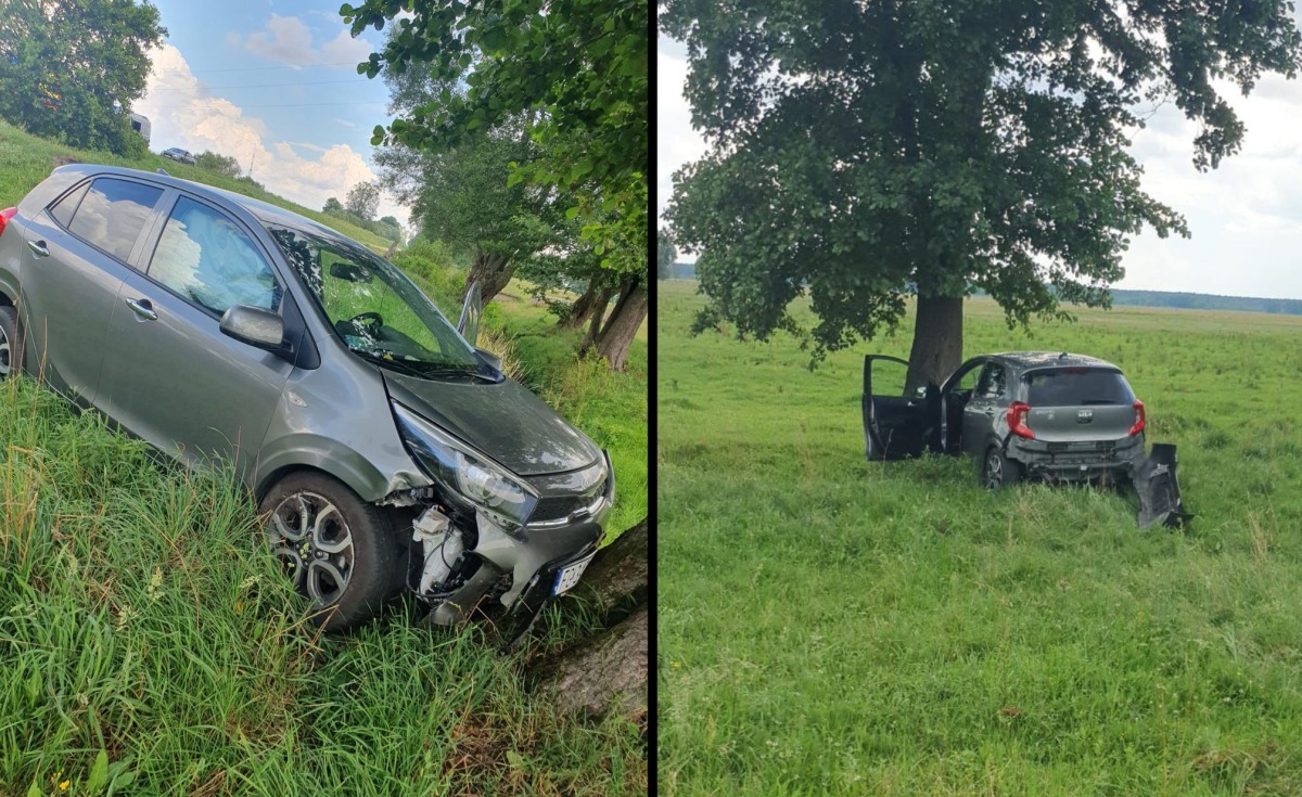 Kierujący kią uderzył w drzewo