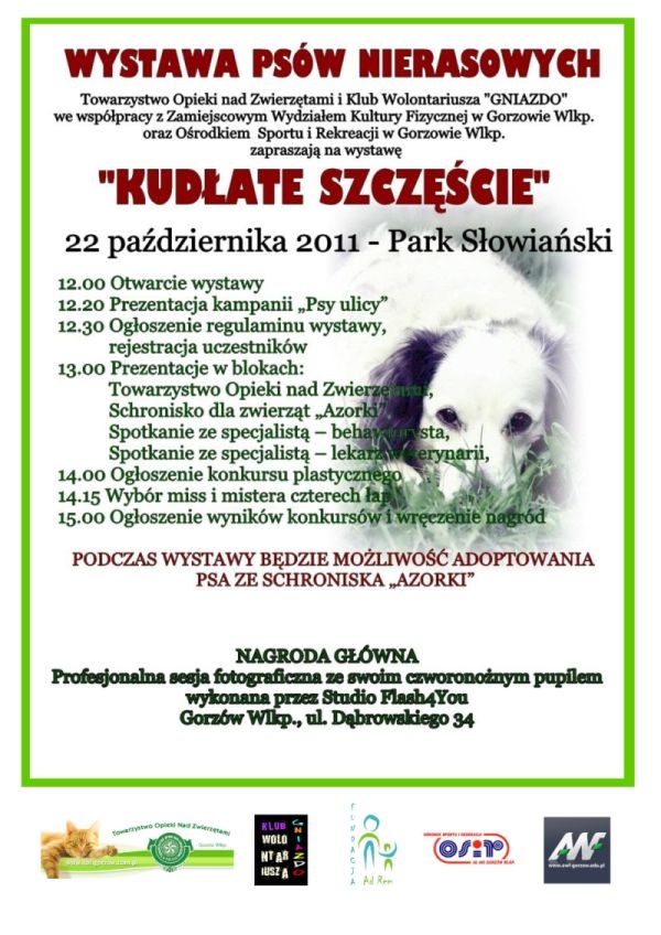 Kudłate szczęście