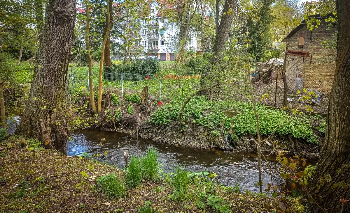 Nowy fragment ścieżki nad Kłodawką. Prace ruszą w 2026 roku