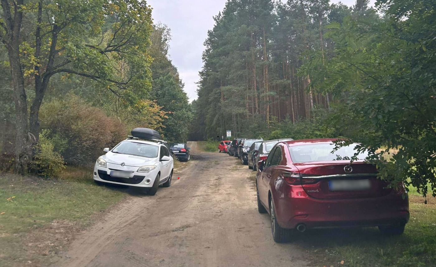 Nie blokuj drogi wjazdowej do lasu! Strażacy apelują do grzybiarzy