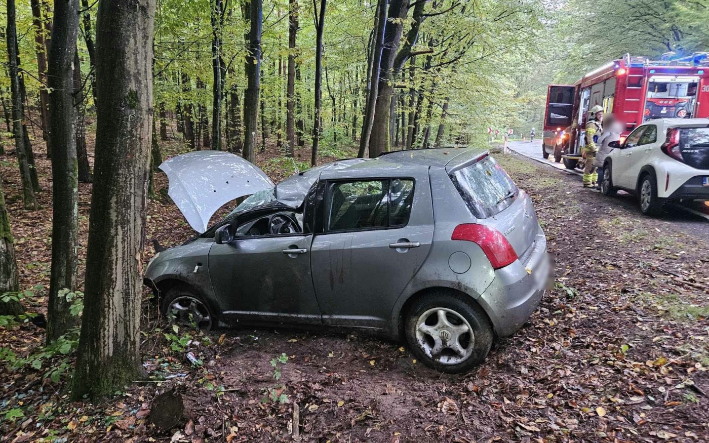 Kierująca uderzyła suzuki w drzewo