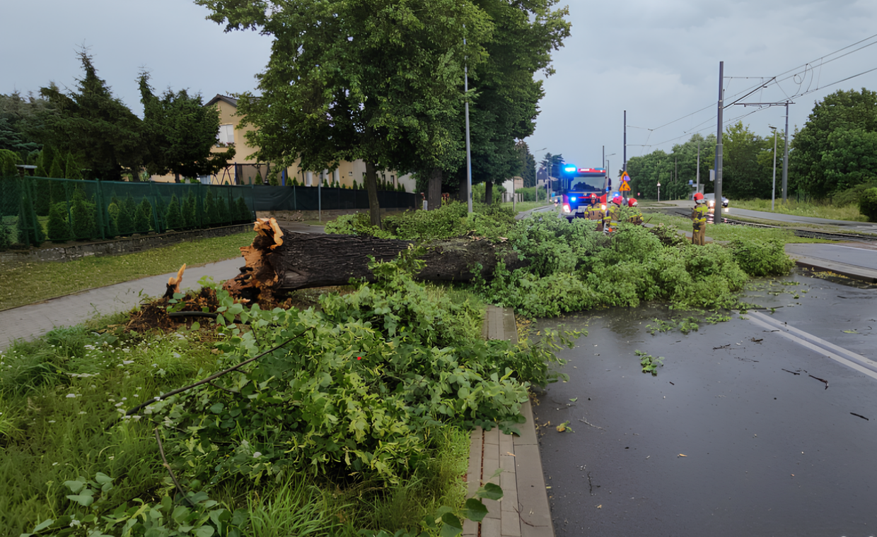 Uwaga mieszkańcy Gorzowa i okolic! IMGW ostrzega przed silnym wiatrem