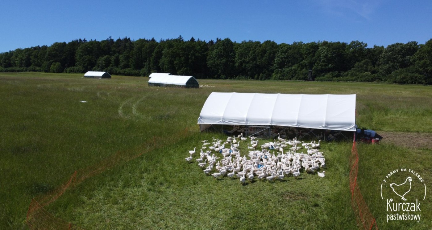 Dobre samopoczucie zaczyna się na talerzu: Wybierz zdrowe produkty od lokalnych gospodarzy/rolników- Kurczak Pastwiskowy