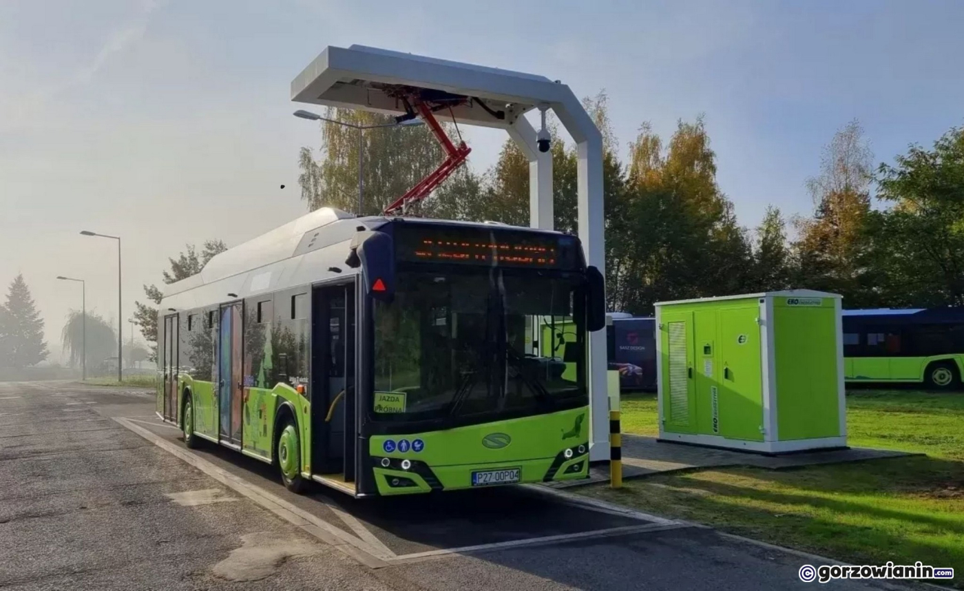 W ciągu dwóch lat na ulice Gorzowa wyjedzie 17 nowych elektrycznych autobusów