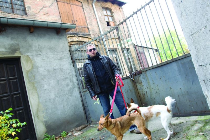 Lebioda zamiast rozsądku?