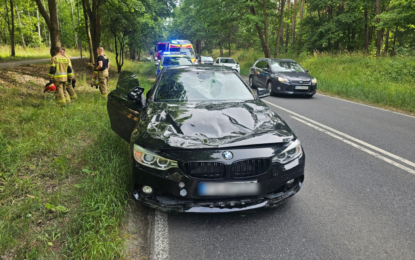 Drzewo spadło na jadące BMW
