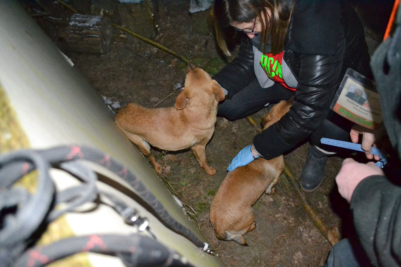 Fundacja Anaconda prosiła o wsparcie. Gorzowianin.com pomaga od ręki