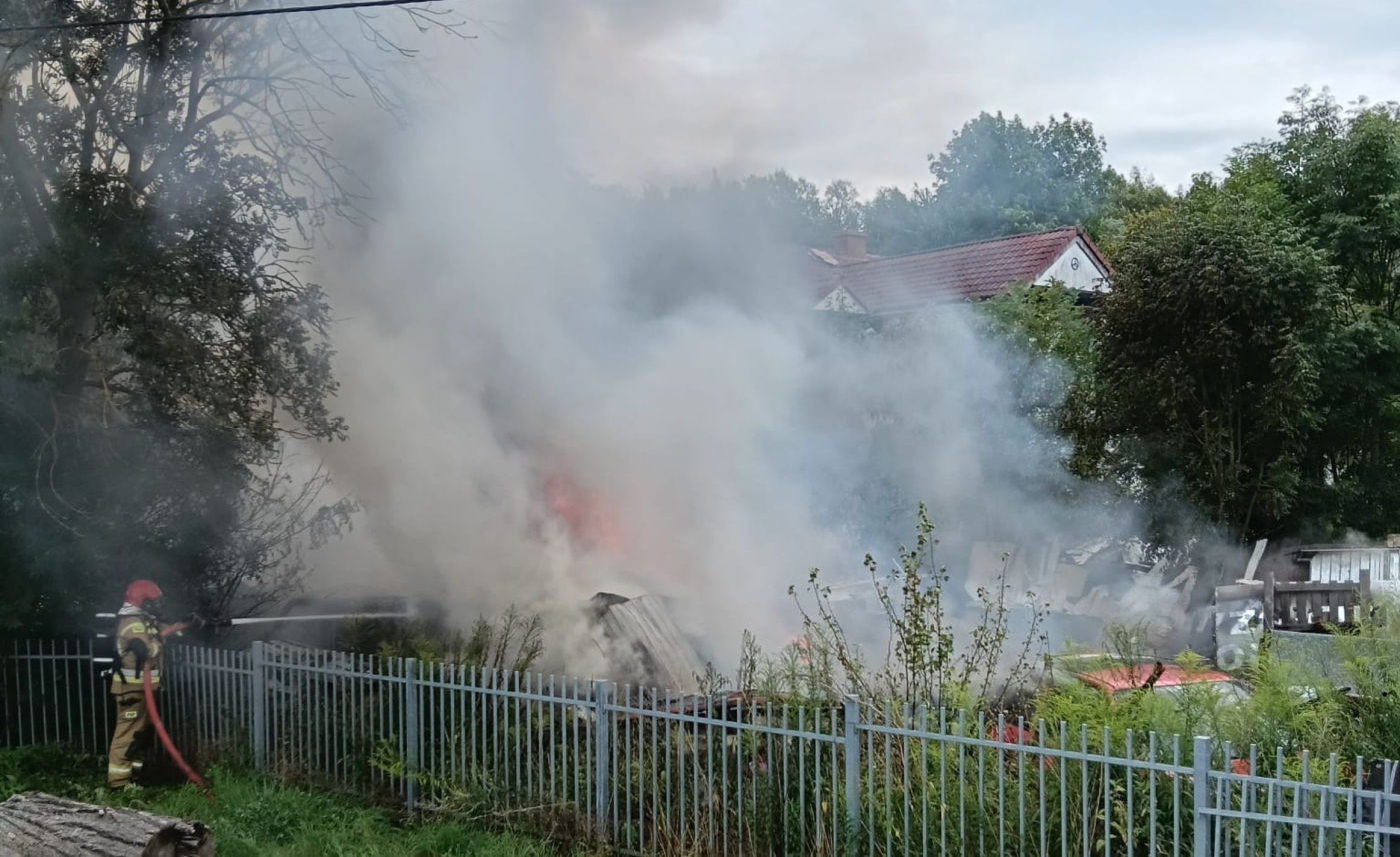 Gorzów: Pożar busa, gałęzi i śmieci