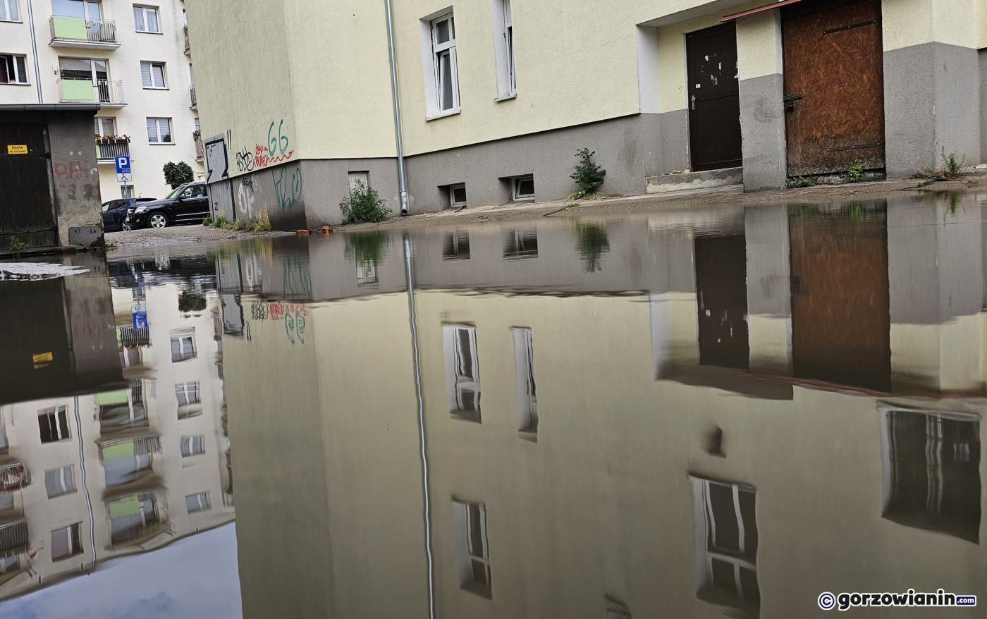 Koniec gorzowskiej Wenecji? Jest przetarg na odwodnienie zalewanego podwórka