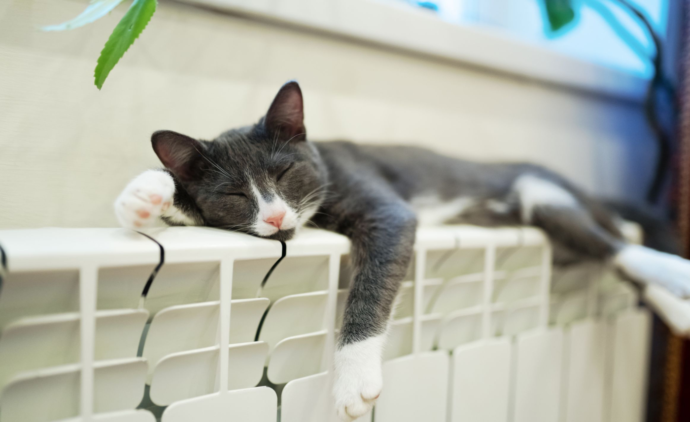 Rusza sezon grzewczy. Są wnioski o uruchomienie ogrzewania