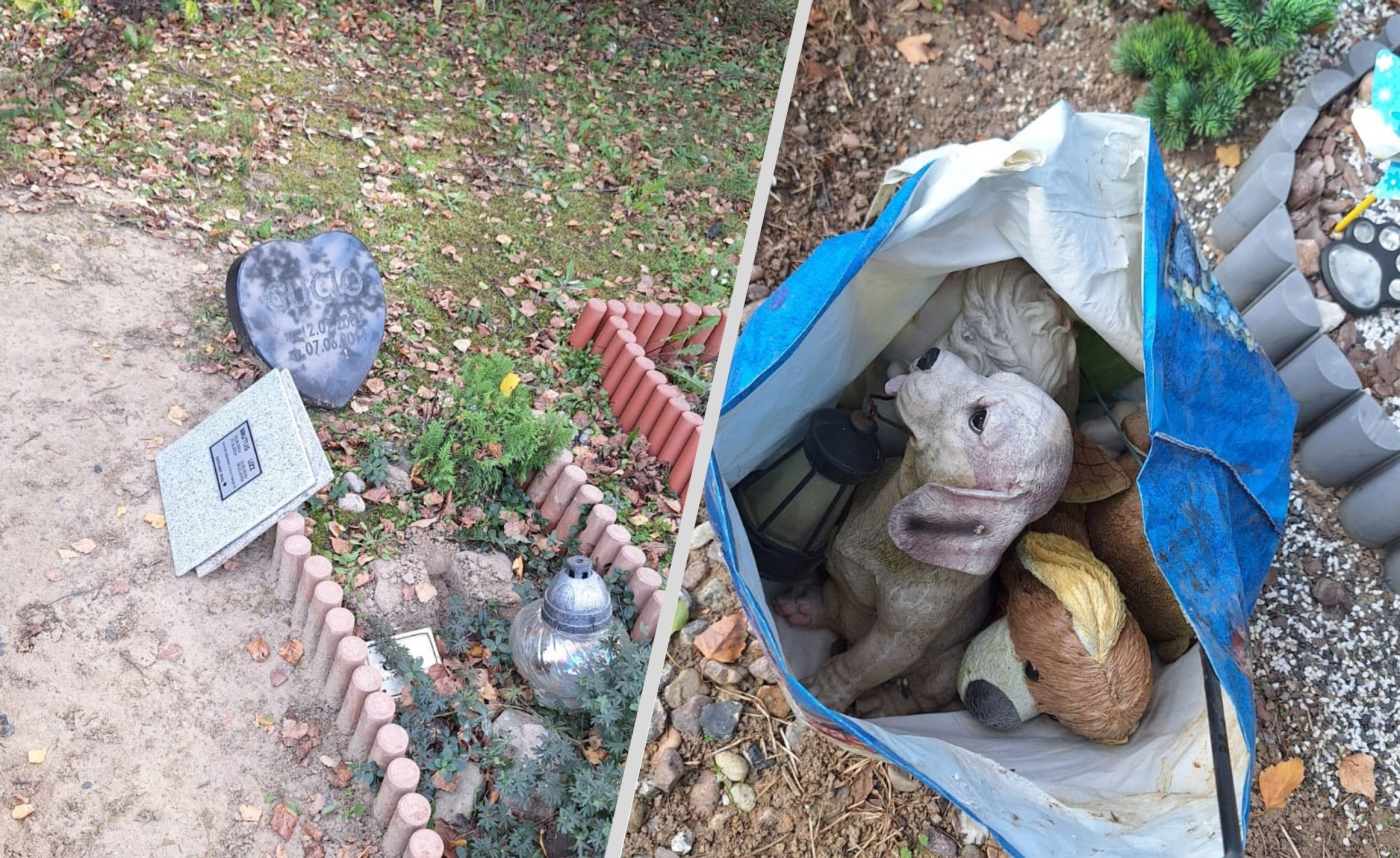 Złodziej na cmentarzu dla zwierząt. Monitoring nagrał, jak kradnie znicze