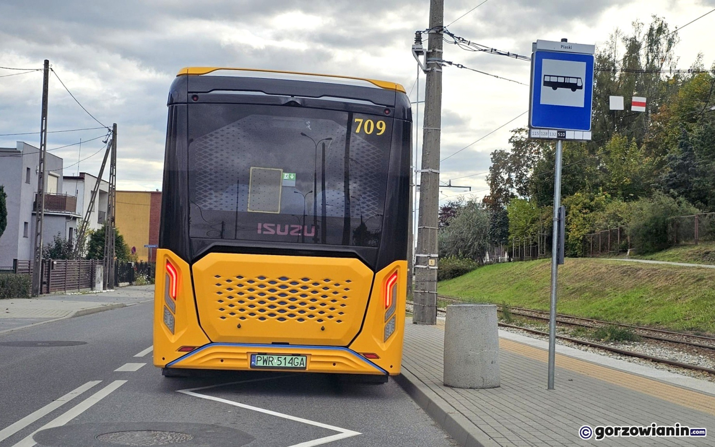 Czy linia 303 w Gorzowie zostanie wydłużona? Radna interweniuje w sprawie minibusów