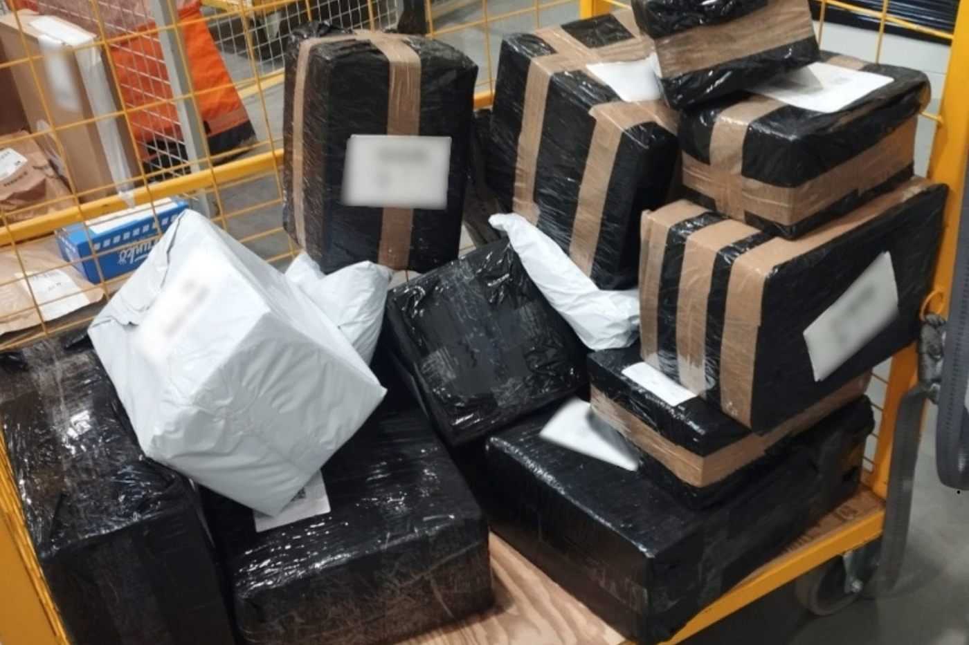 Nielegalny tytoń w paczkach w sortowni w Gorzowie