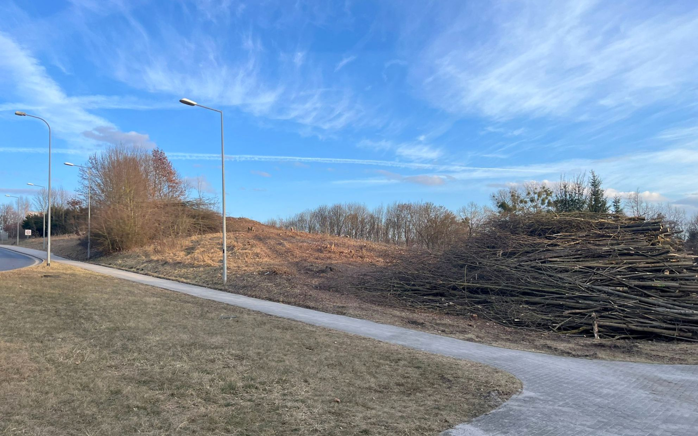 wycinka drzew pod farmę fotowoltaiczną przy ulicy Dekerta w Gorzowie teren przy bazie LPR i szpitalu wojewódzkim w Gorzowie