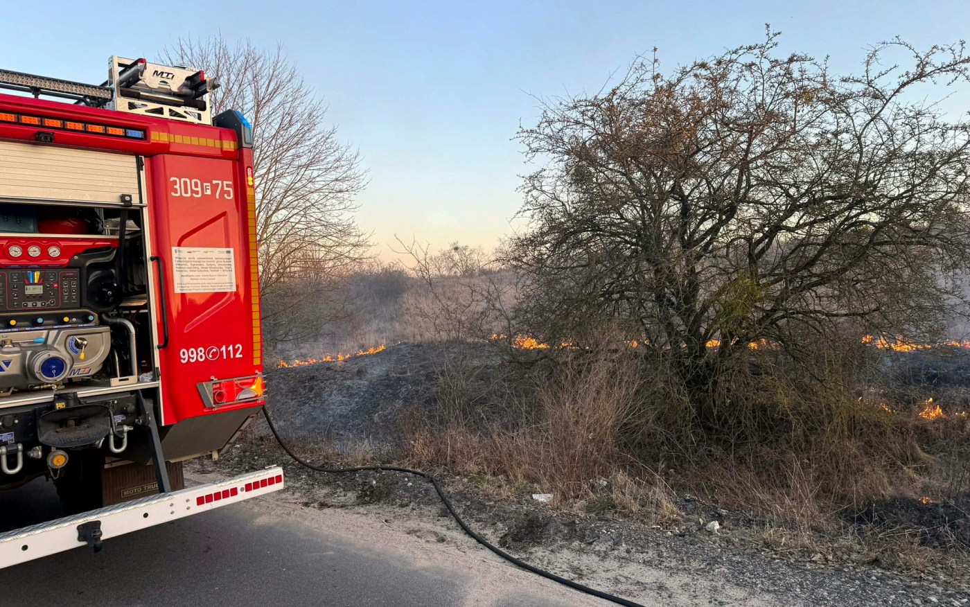 pożar traw powiat gorzowski straż pożarna Gorzów ogień w Gralewie i Gostkowicach pożar ściółki Rybakowo stop pożarom traw akcja straży pożarnej marzec 2026