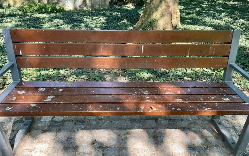 Zabrudzona ławka w Parku Róż w Gorzowie pokryta ptasimi odchodami. Problem czystości w Parku Wiosny Ludów.