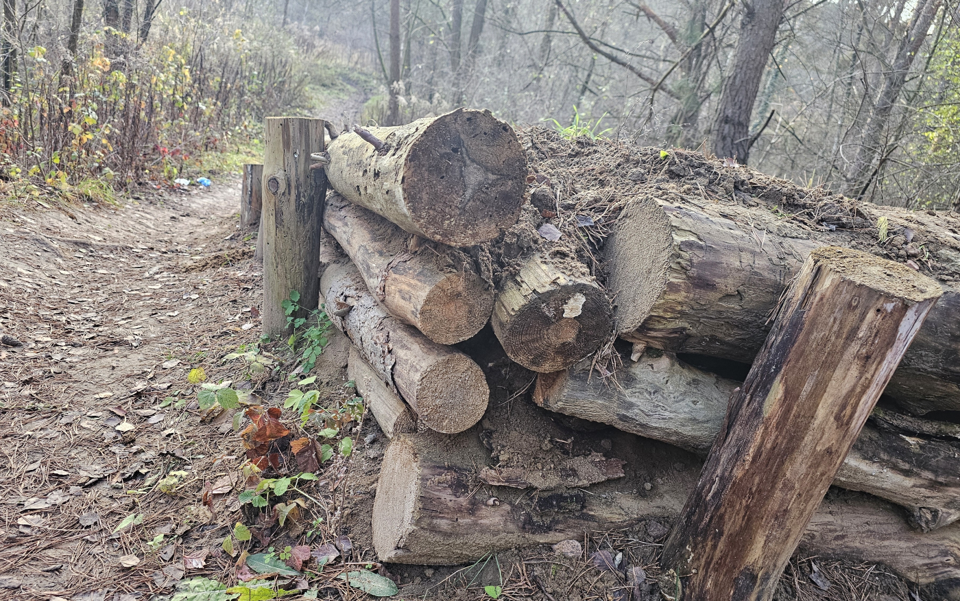 Ziemne platformy i przeszkody rowerowe do downhillu w lesie na Wieprzycach w Gorzowie Bike Park Wieprzyce