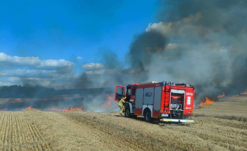 akcja gaśnicza strażaków z Gorzowa w Lubnie pożar zboża