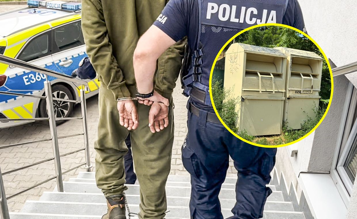 martwe szczeniaki w kontenerze na odziez uzywana policja sulecin zarzuty za zabicie zwierzat do 5 lat wiezienia piotr s