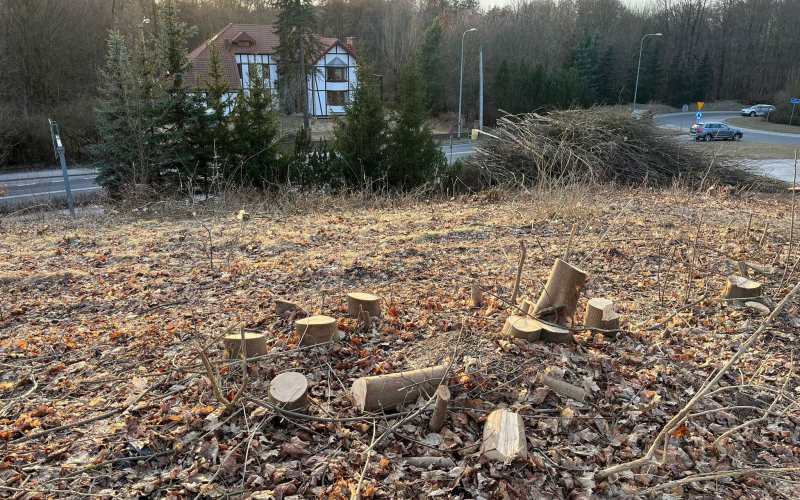teren przy ul. Dekerta w Gorzowie. budowa farmy fotowoltaicznej zasilanie szpital wojewódzki Dekerta Gorzów