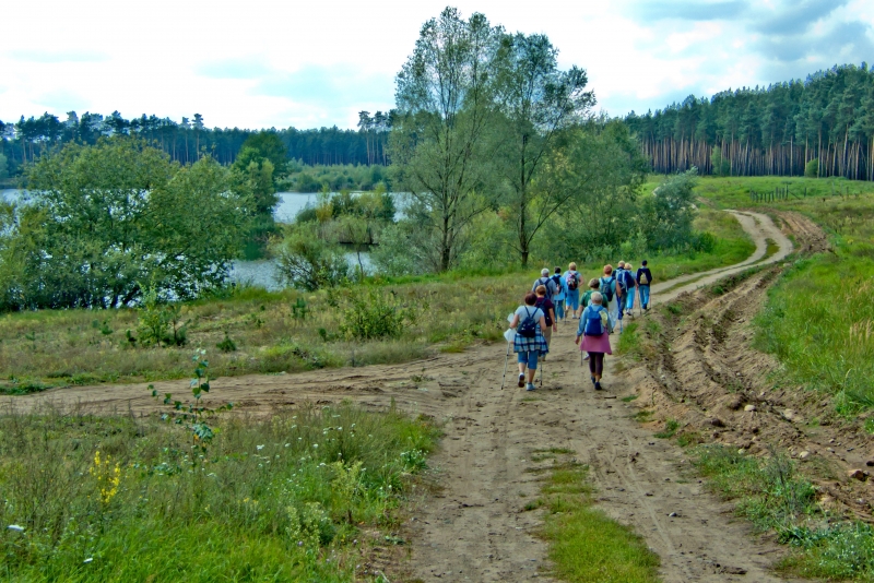 Puszcza Notecka i Buki Zdroiskie