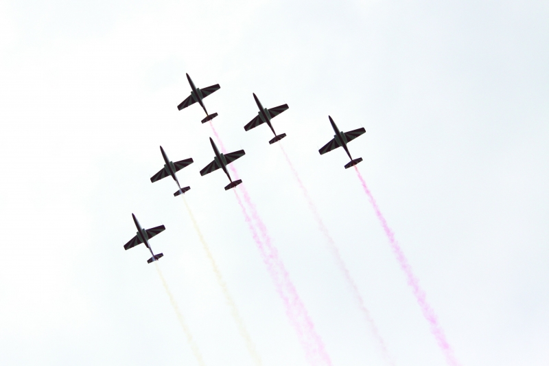 Bronią spokoju swojego i zwierząt