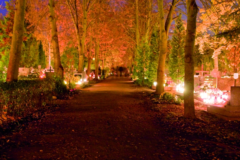 Co robią sarny na cmentarzu