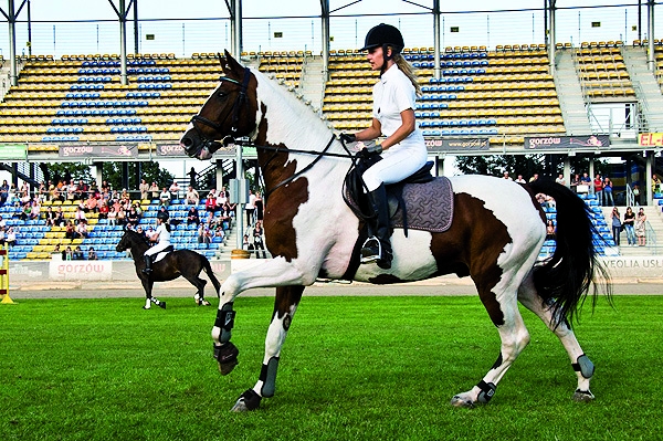 Dziennik aglomeracji gorzowskiej 66-400.pl zaprasza