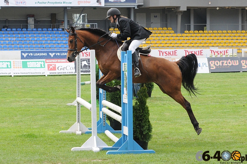 Zawody jeździeckie za nami