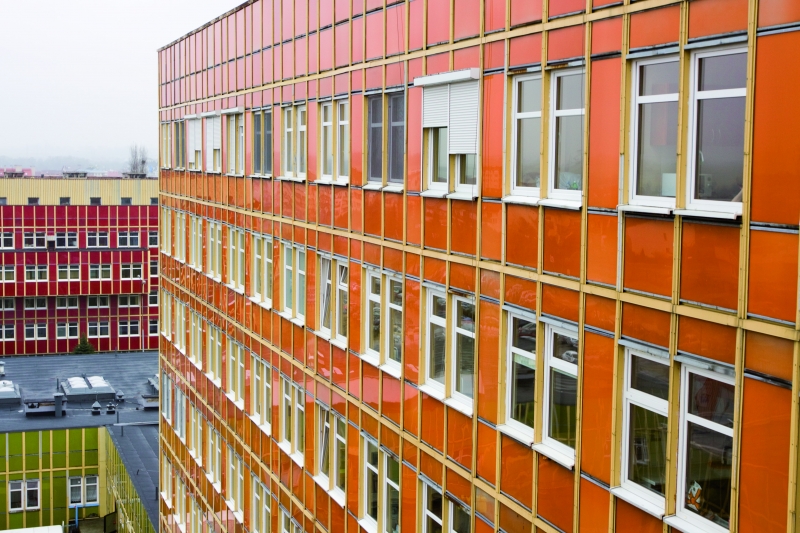 Skandal ze śmiercią w tle?