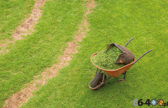 Zbliżają się wakacje. Czas pracy czy odpoczynku?