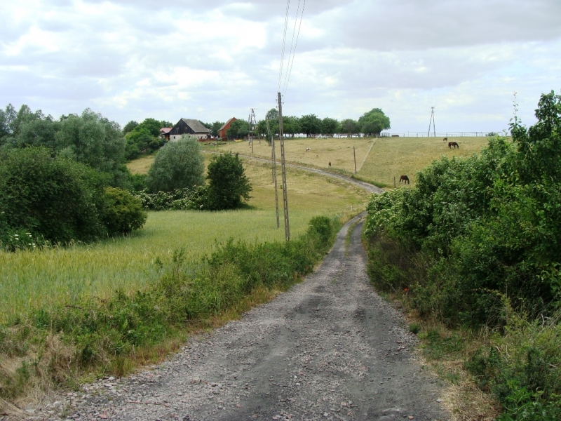 Gmina dofinansuje budowę przydomowych oczyszczalni