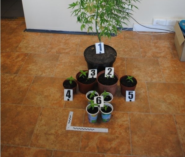 Mieszkaniec Barlinka zatrzymany za narkotyki