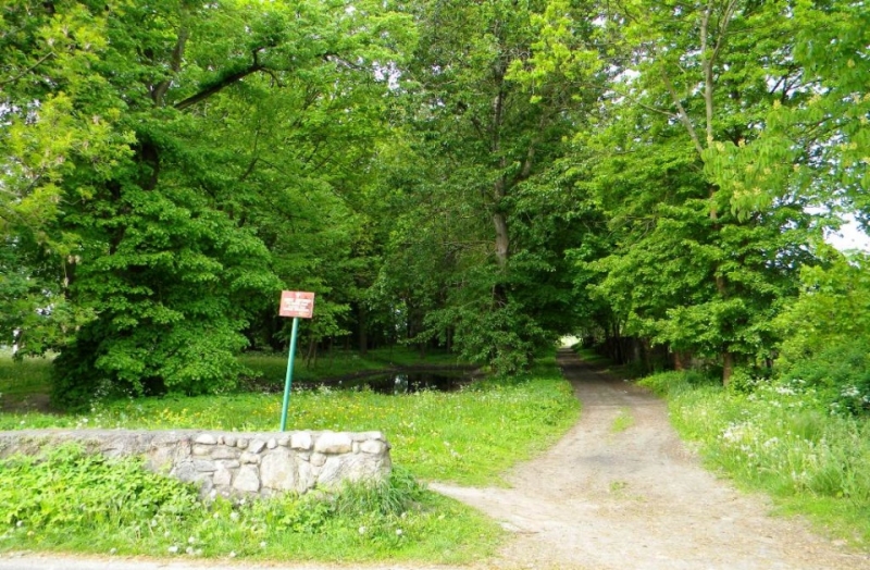 Park jak z bajki! W Warnicach!