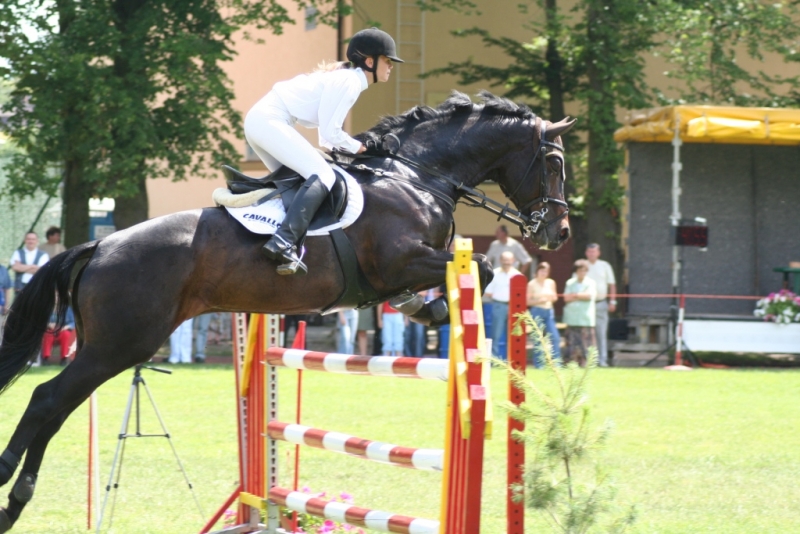 Skakali po Puchar Burmistrza