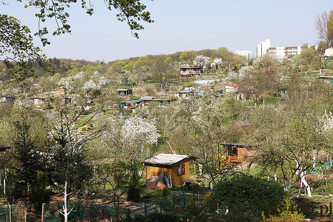 Działkowcy mogą odetchnąć z ulgą?