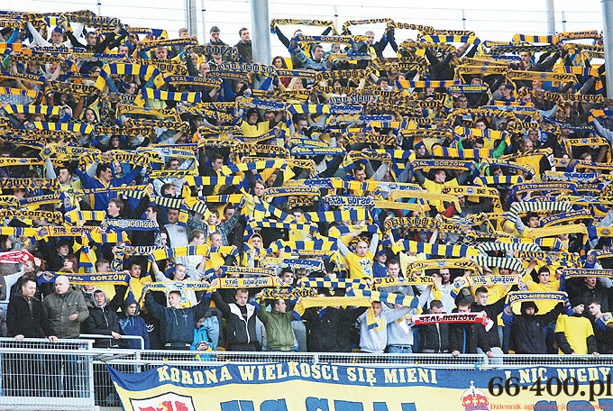 
Kim jest kibic żółto-niebieskich?