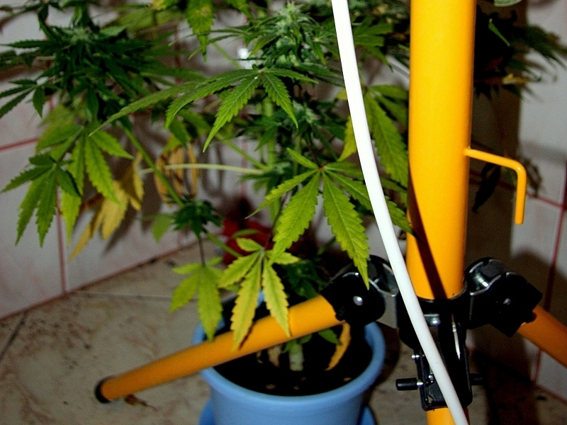 Mówią STOP narkotykom na drogach 