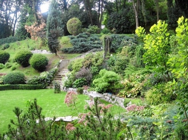 Zieleń między blokowiskami