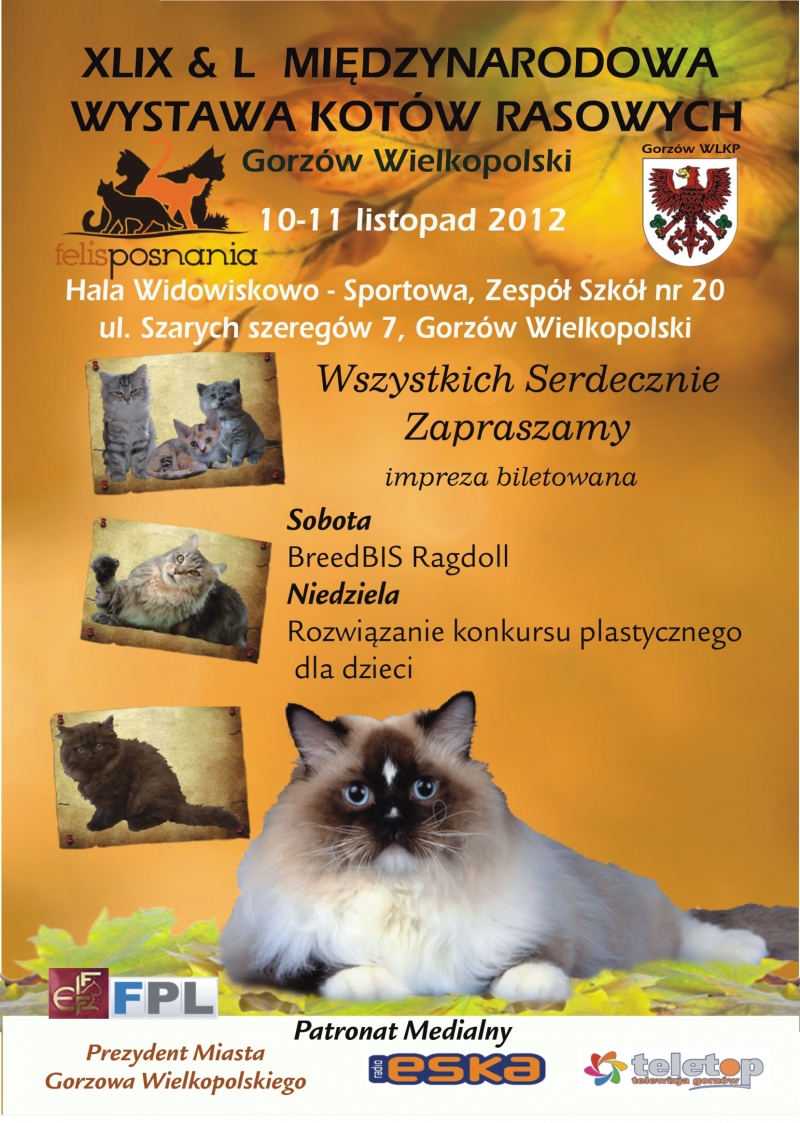 Wielka wystawa kotów w Gorzowie