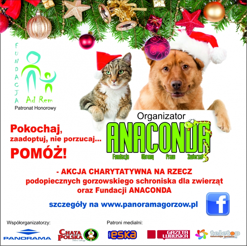 Gwiazdkowe atrakcje w Panoramie!